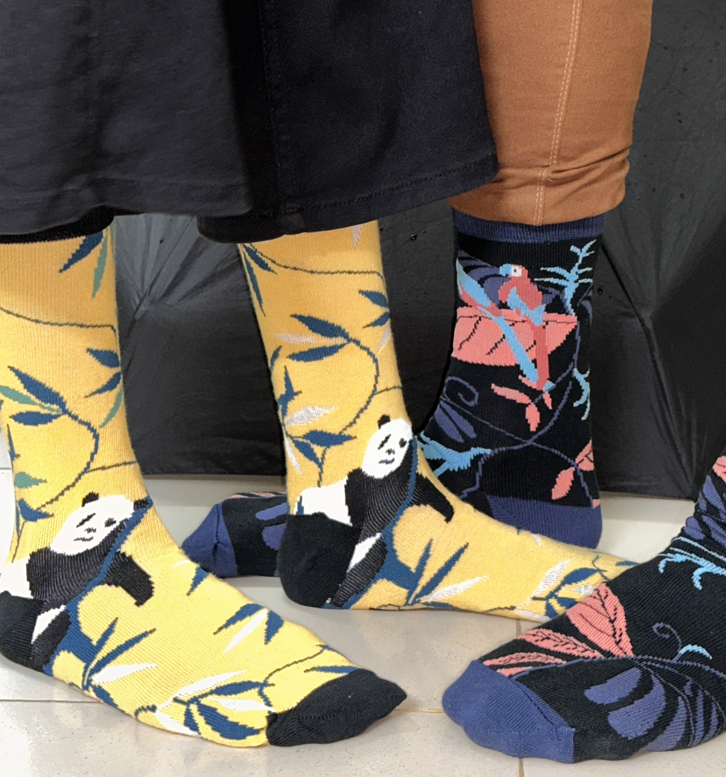 Socks